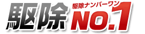 駆除ナンバーワン