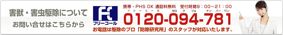 駆除について　お問い合わせはこちらから　フリーコール0120-094-781